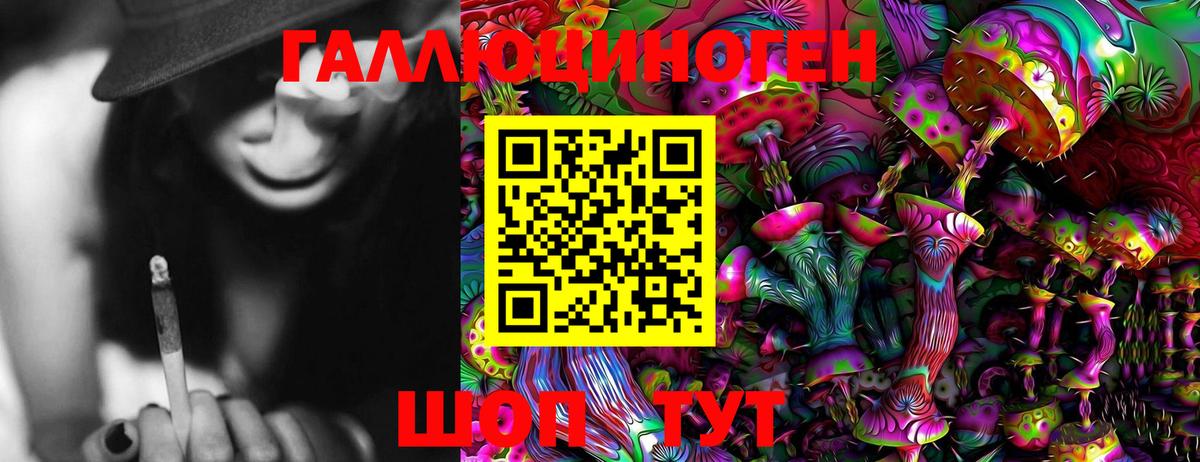 Галлюциногенные грибы GOLDEN TEACHER  Вход с VPN  Пушкино  Галлюциногенные грибы Magic Shrooms 