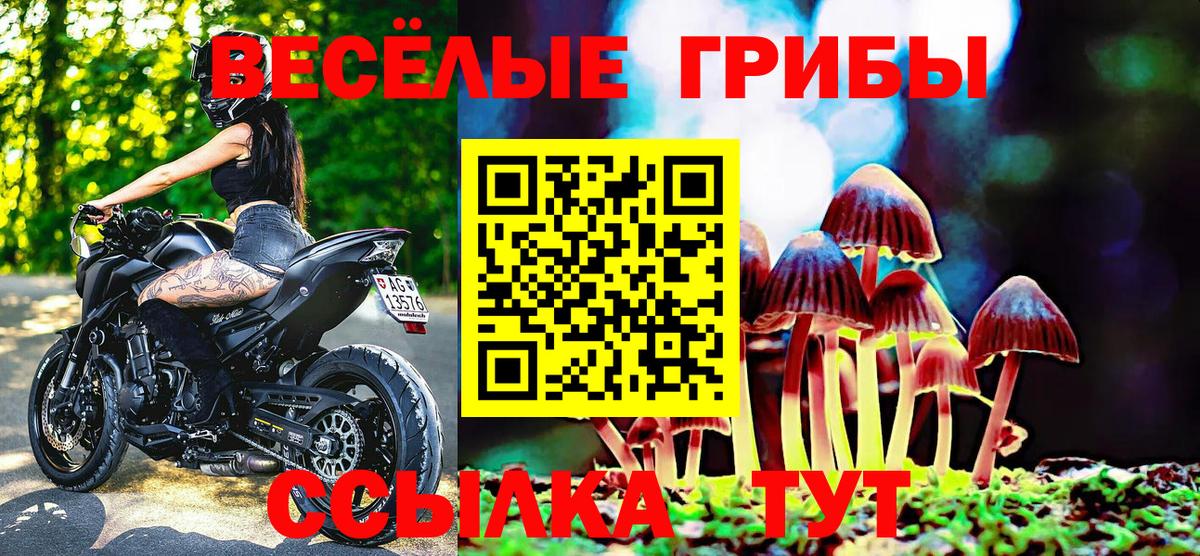 Псилоцибиновые грибы мицелий Пушкино